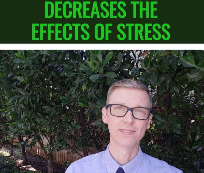 Decreases The Effects Of Stress